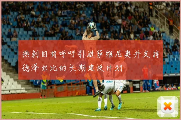 热刺旧将呼吁引进萨维尼奥并支持德泽尔比的长期建设计划