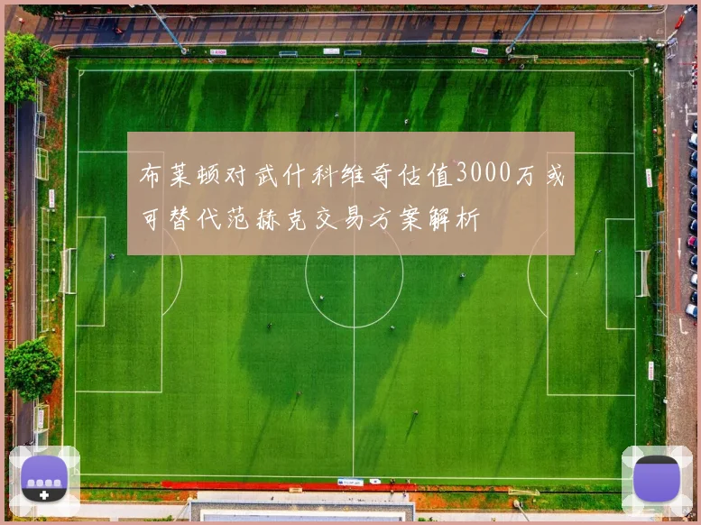 布莱顿对武什科维奇估值3000万或可替代范赫克交易方案解析